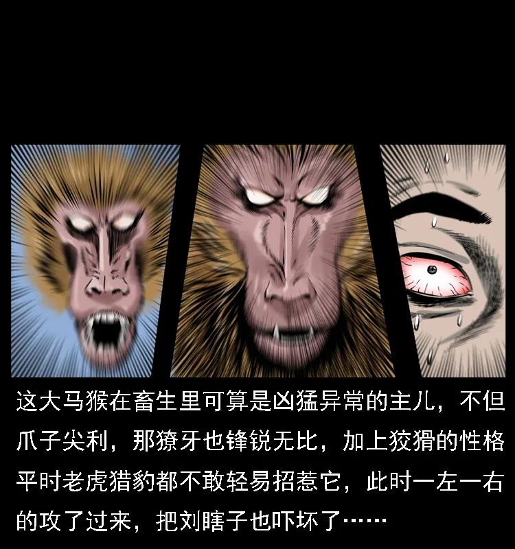 幽冥诡匠 027 刘瞎子憋宝 第47页