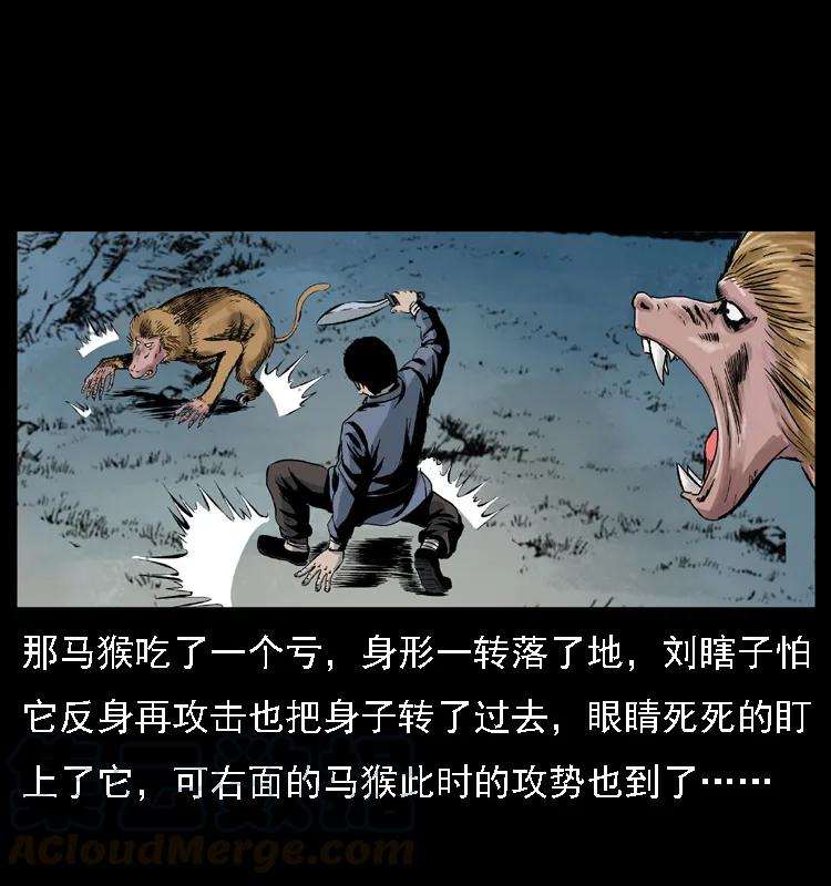 幽冥诡匠 027 刘瞎子憋宝 第49页