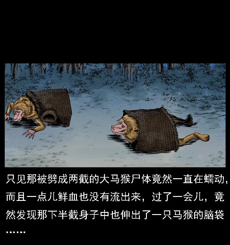 幽冥诡匠 027 刘瞎子憋宝 第43页
