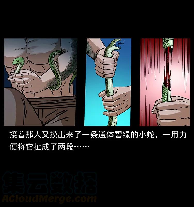 幽冥诡匠 271 神域边界 第81页