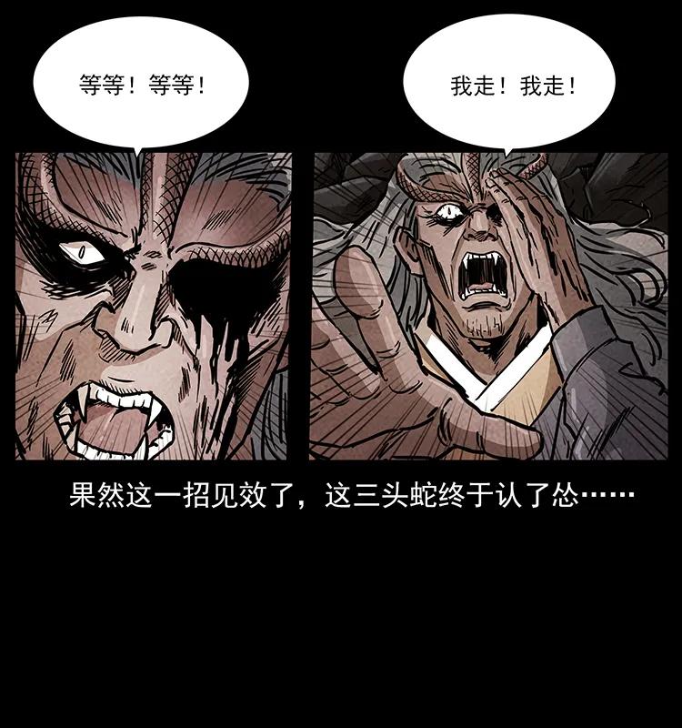 幽冥诡匠 277 三头蛇 第19页