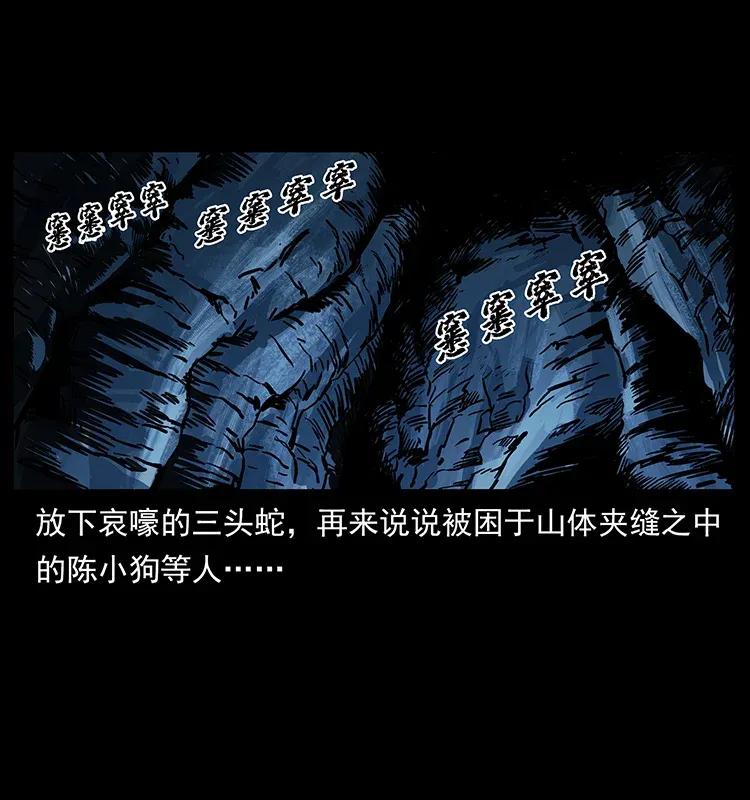 幽冥诡匠 278 黑狐的危机！ 第11页
