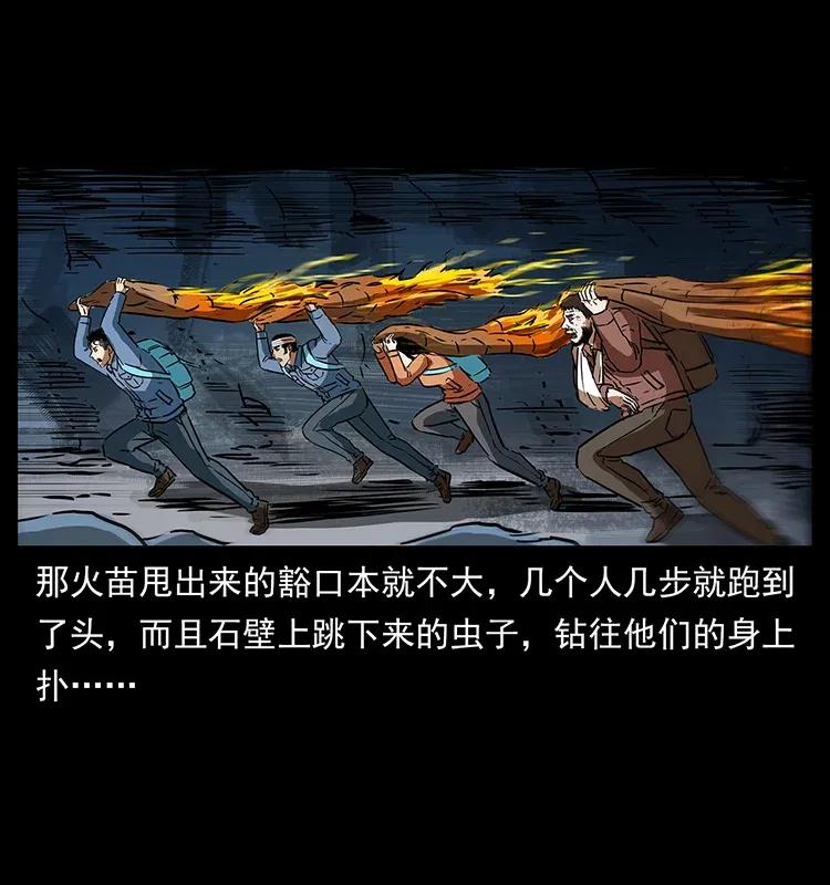 幽冥诡匠 278 黑狐的危机！ 第28页