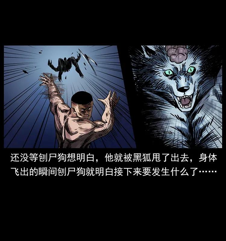幽冥诡匠 278 黑狐的危机！ 第84页