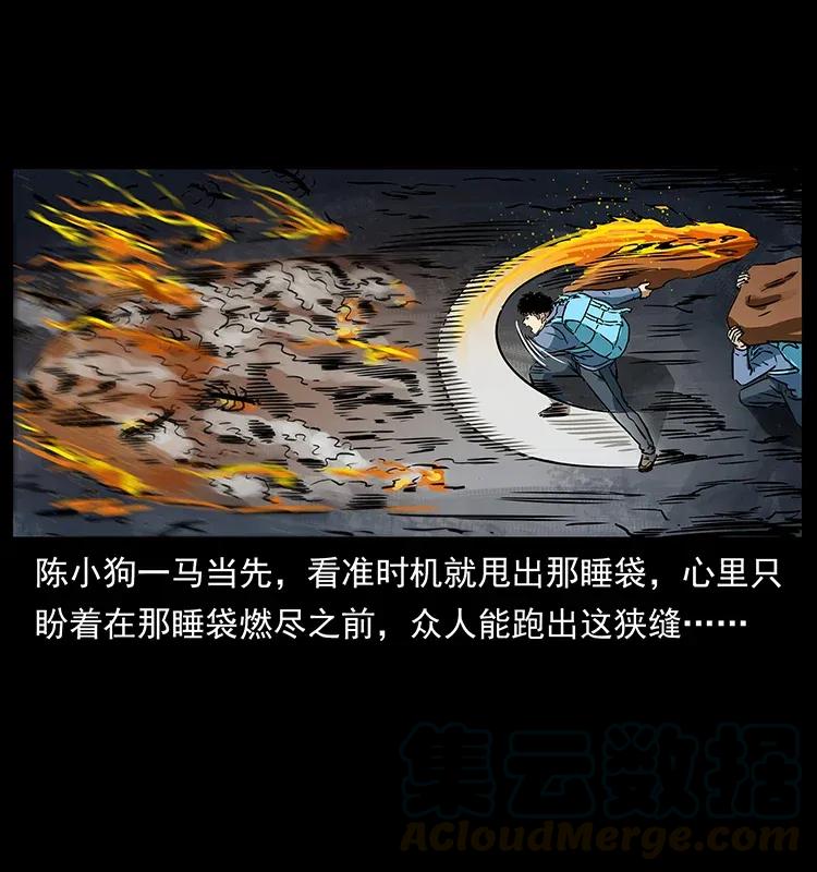 幽冥诡匠 278 黑狐的危机！ 第29页