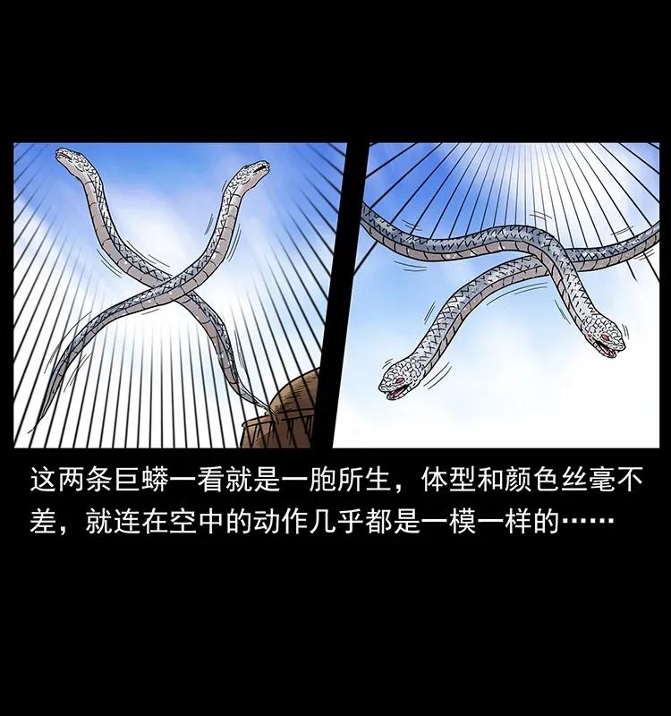 幽冥诡匠 283 神域守门人 第9页