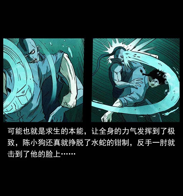 幽冥诡匠 285 水蛟一族 第23页