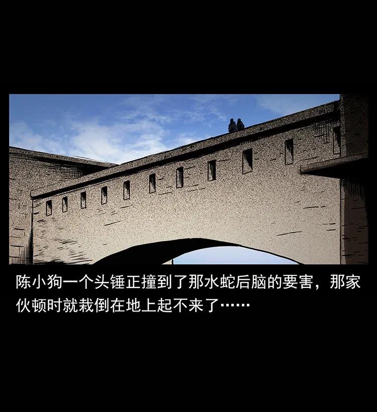 幽冥诡匠 285 水蛟一族 第2页