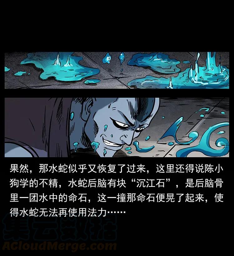 幽冥诡匠 285 水蛟一族 第9页