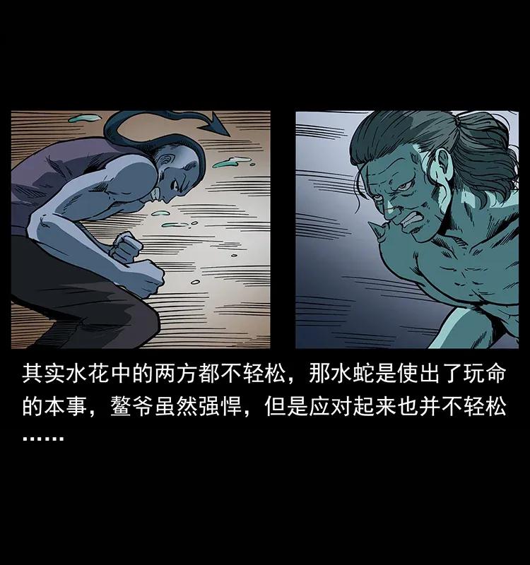 幽冥诡匠 285 水蛟一族 第68页