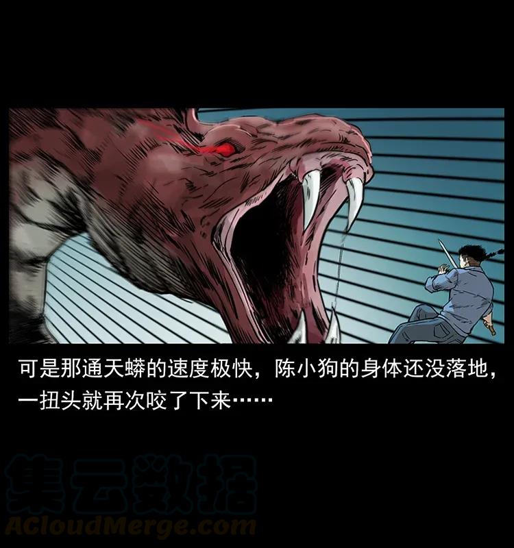 幽冥诡匠 288 强者归队！ 第49页