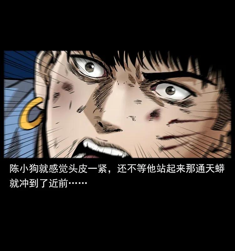 幽冥诡匠 288 强者归队！ 第47页