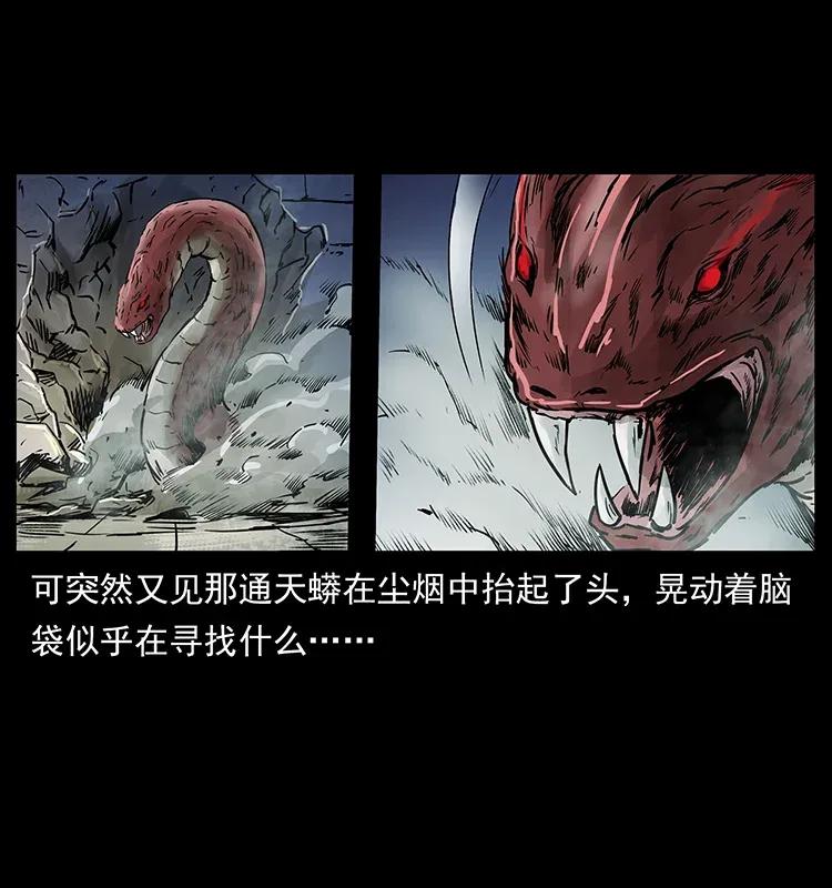 幽冥诡匠 288 强者归队！ 第52页