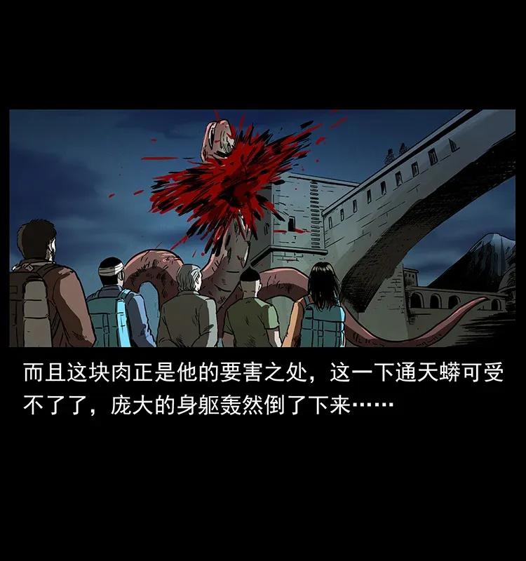 幽冥诡匠 288 强者归队！ 第74页