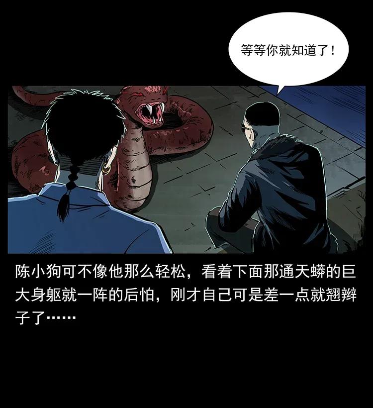 幽冥诡匠 288 强者归队！ 第62页