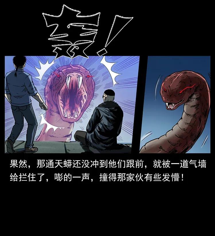 幽冥诡匠 288 强者归队！ 第66页