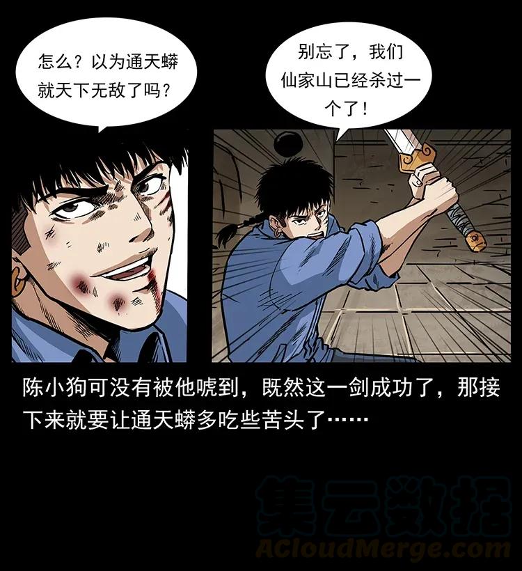 幽冥诡匠 288 强者归队！ 第13页