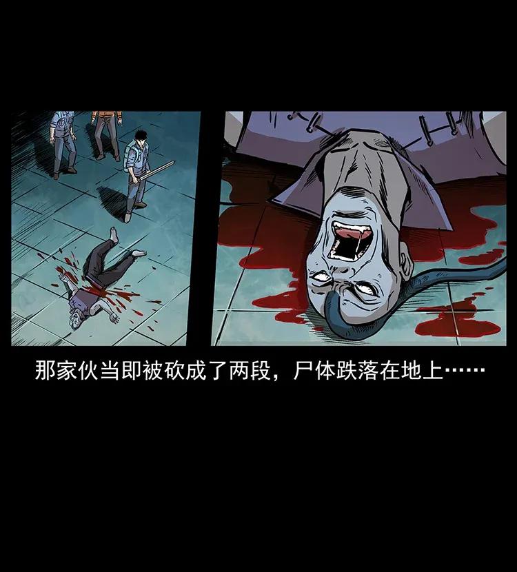 幽冥诡匠 290 神王？ 第50页