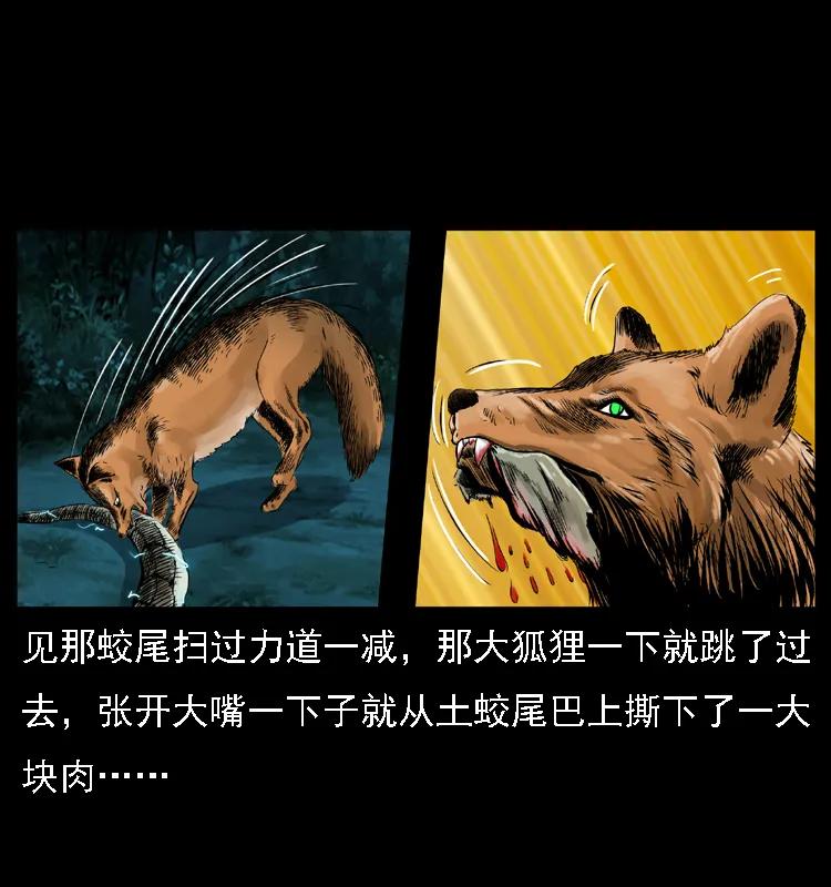 幽冥诡匠 029 斗土蛟 第39页
