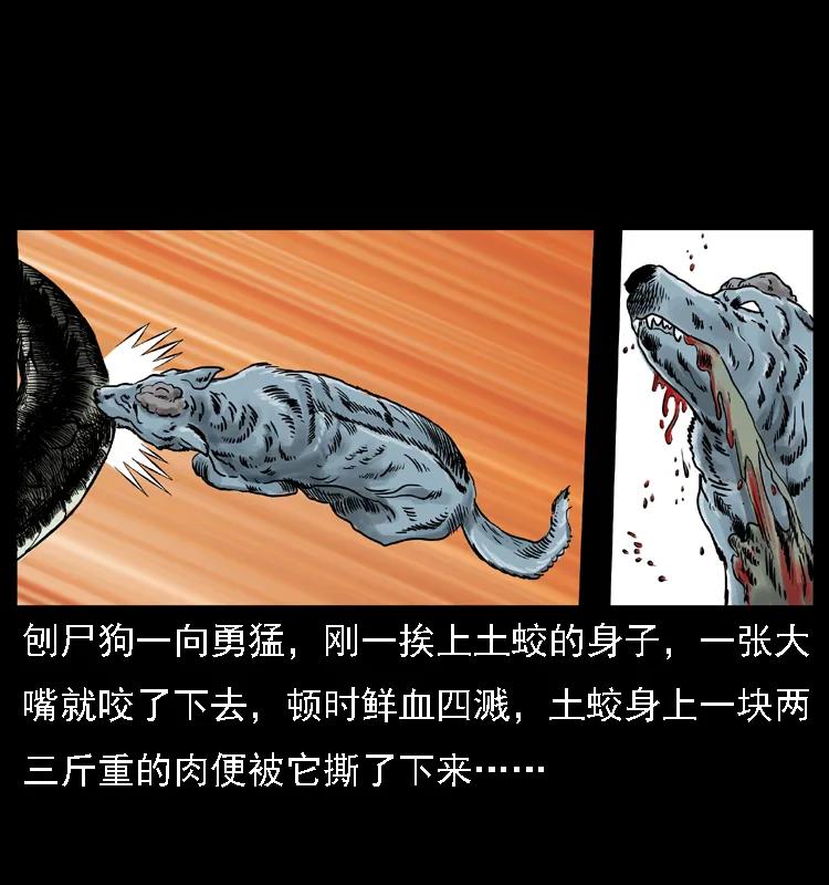 幽冥诡匠 029 斗土蛟 第47页