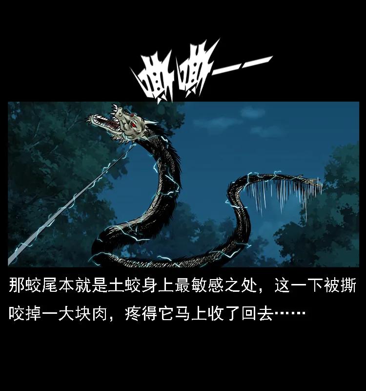 幽冥诡匠 029 斗土蛟 第40页