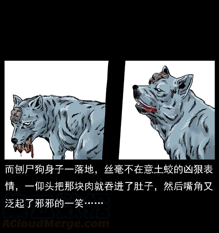 幽冥诡匠 029 斗土蛟 第49页