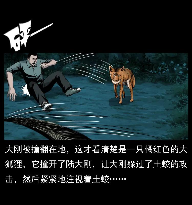 幽冥诡匠 029 斗土蛟 第38页