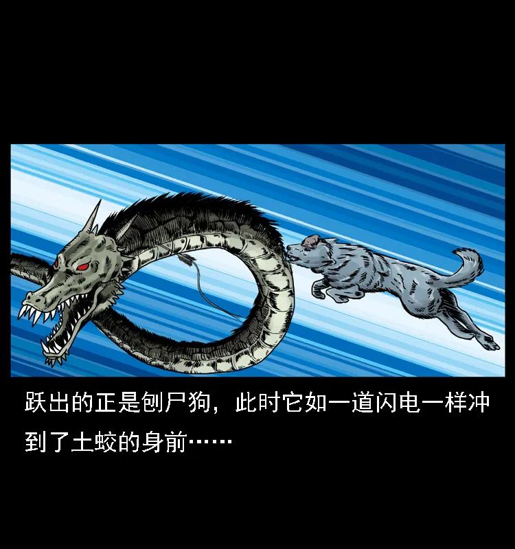 幽冥诡匠 029 斗土蛟 第46页