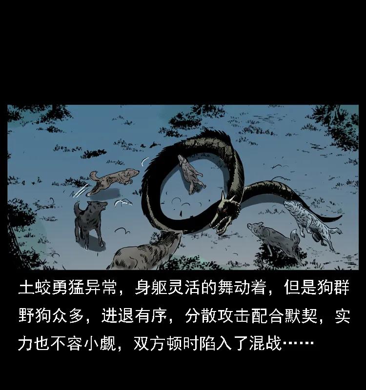 幽冥诡匠 029 斗土蛟 第52页