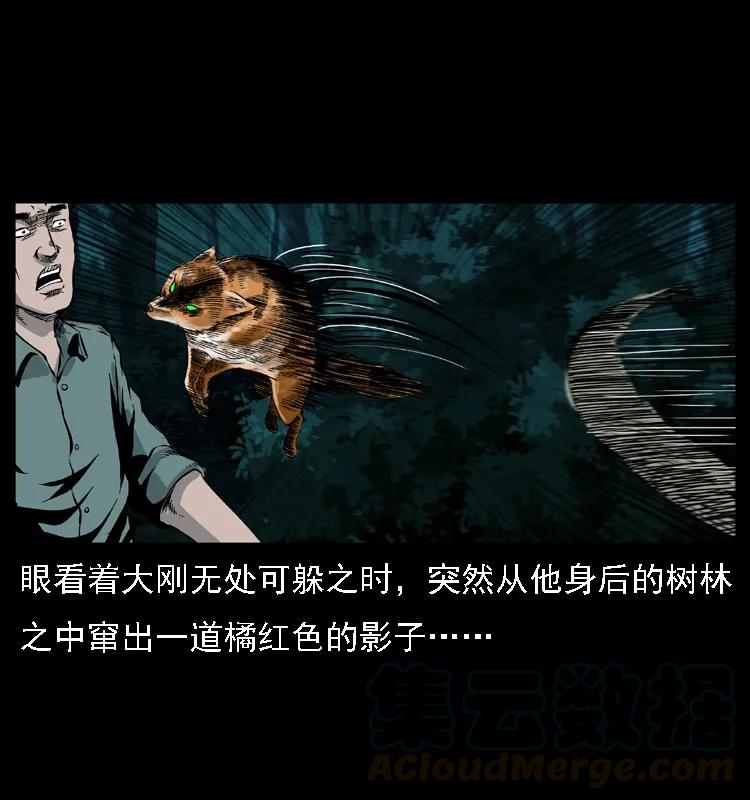 幽冥诡匠 029 斗土蛟 第37页
