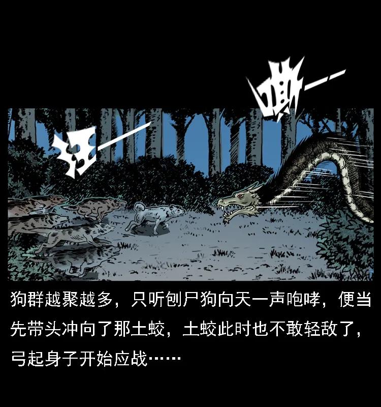 幽冥诡匠 029 斗土蛟 第51页