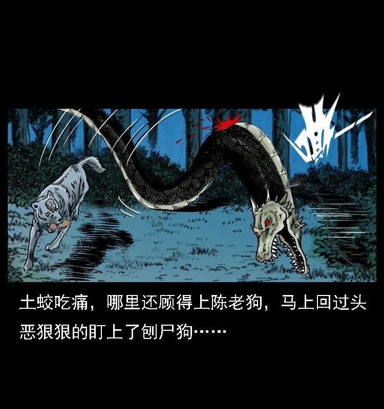 幽冥诡匠 029 斗土蛟 第48页