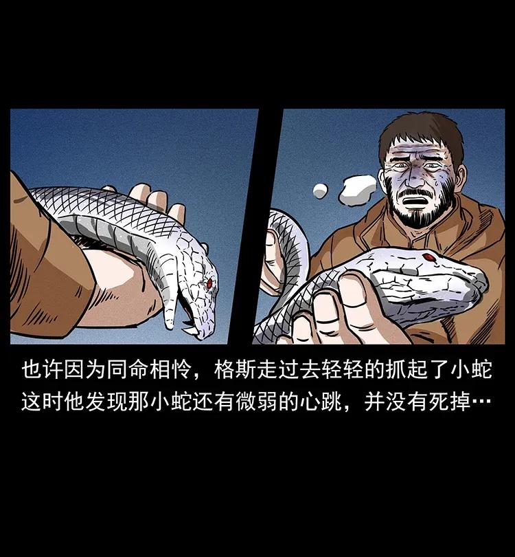 幽冥诡匠 291 大神命阵 第22页