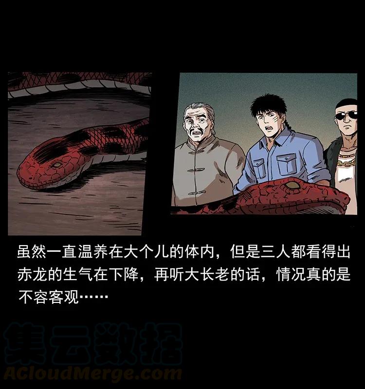 幽冥诡匠 291 大神命阵 第57页