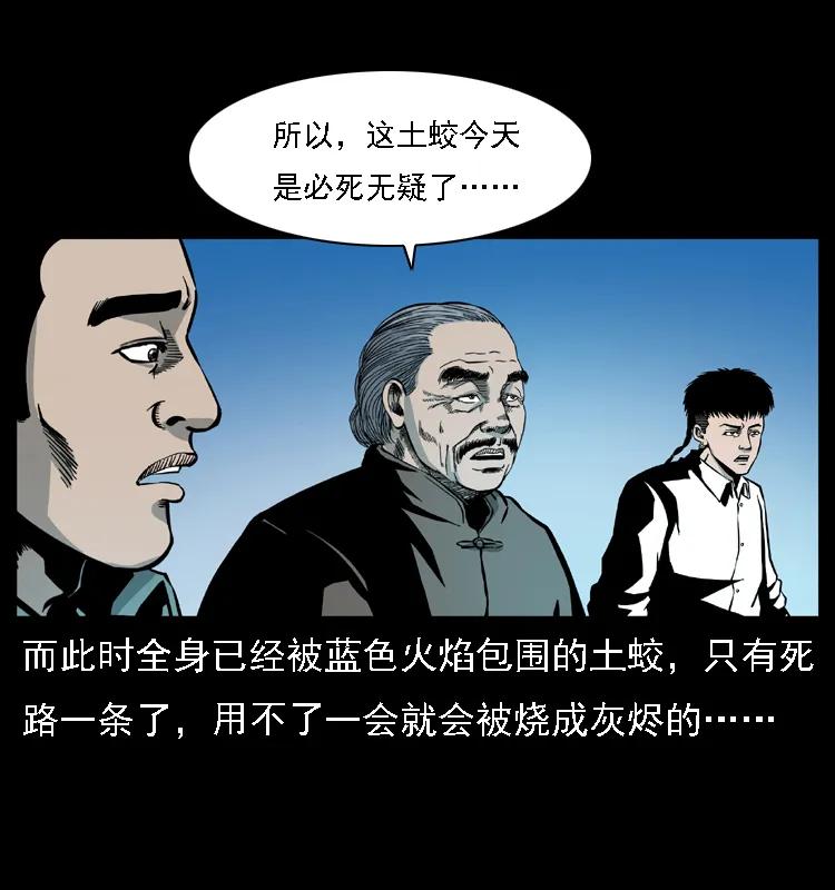 幽冥诡匠 030 斗土蛟2 第67页