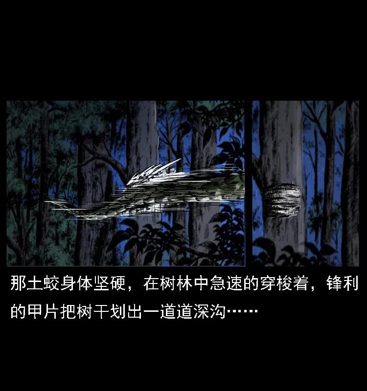 幽冥诡匠 030 斗土蛟2 第11页