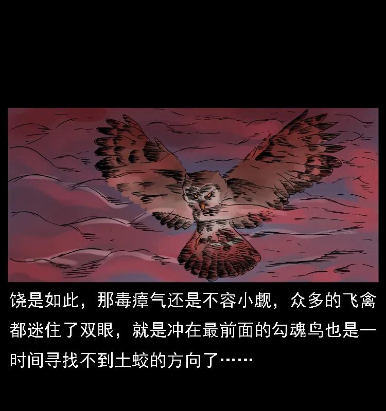 幽冥诡匠 030 斗土蛟2 第51页