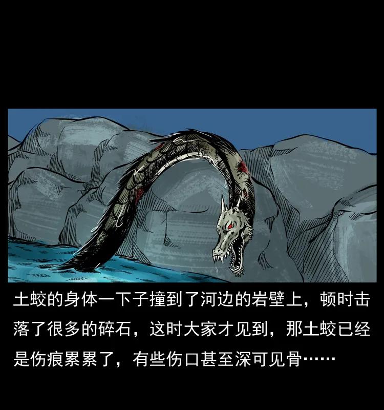 幽冥诡匠 030 斗土蛟2 第46页
