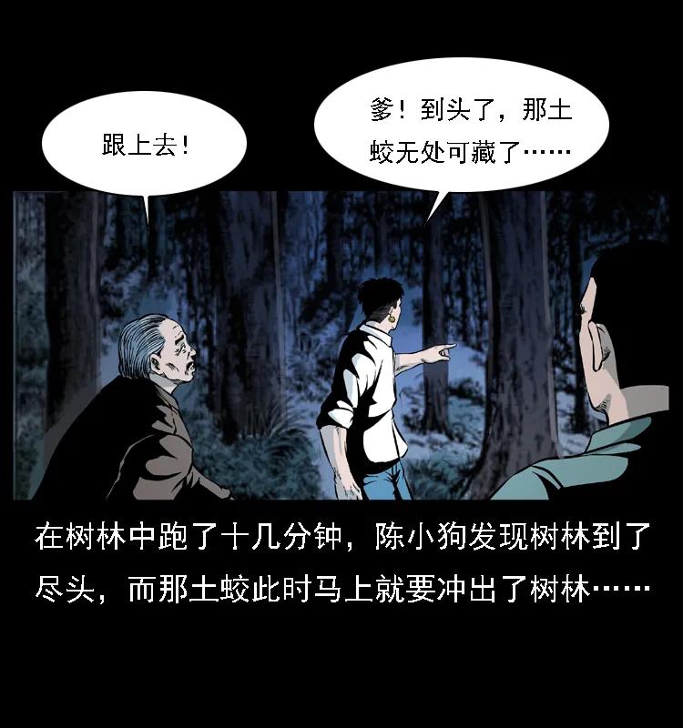 幽冥诡匠 030 斗土蛟2 第15页