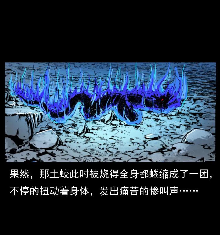 幽冥诡匠 030 斗土蛟2 第68页