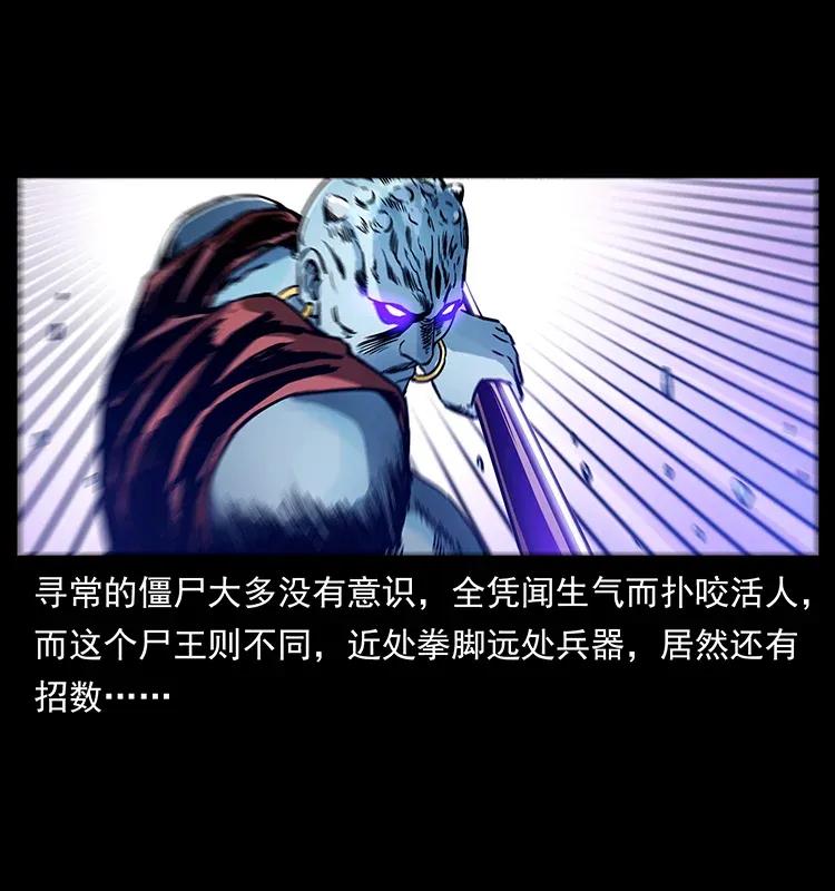 幽冥诡匠 304 鬼眼尸王 第28页