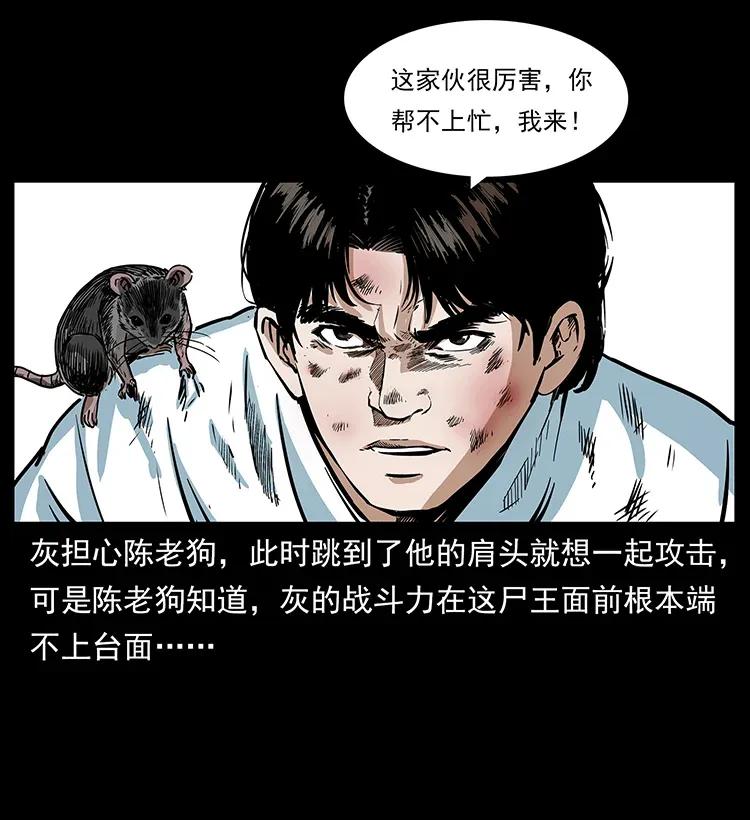 幽冥诡匠 304 鬼眼尸王 第43页