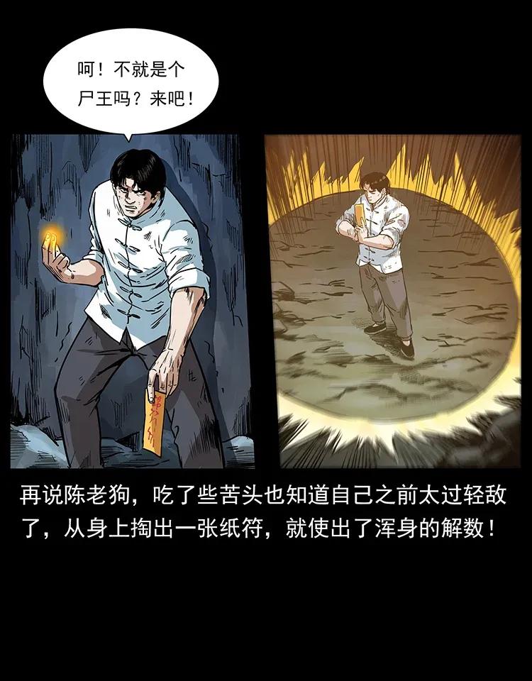 幽冥诡匠 304 鬼眼尸王 第46页
