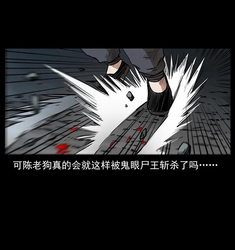 幽冥诡匠 304 鬼眼尸王 第67页