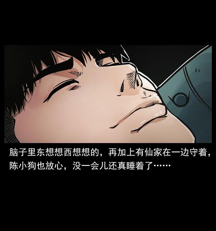幽冥诡匠 306 怨鬼？精怪？ 第60页