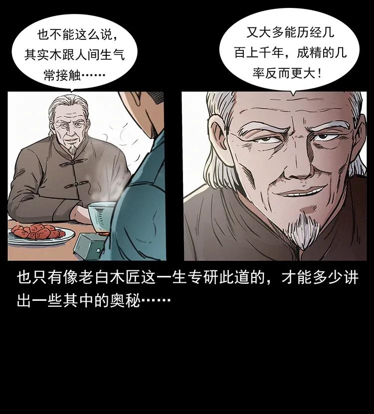 幽冥诡匠 306 怨鬼？精怪？ 第38页