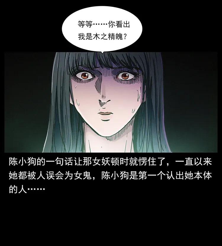 幽冥诡匠 306 怨鬼？精怪？ 第80页