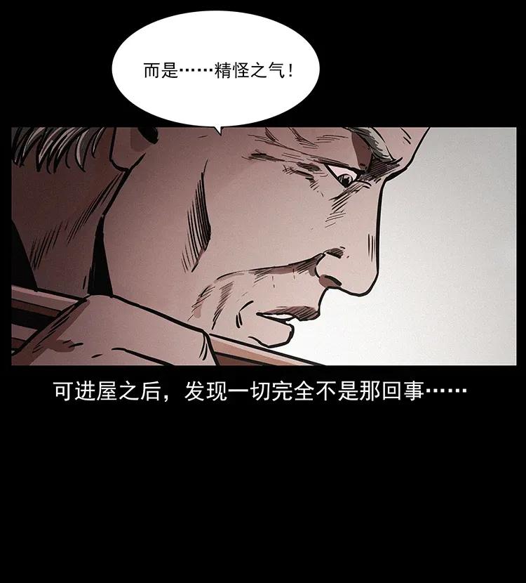 幽冥诡匠 306 怨鬼？精怪？ 第4页