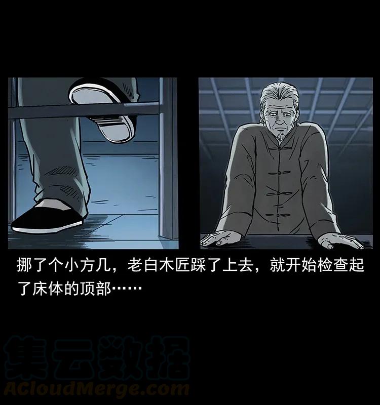 幽冥诡匠 306 怨鬼？精怪？ 第13页