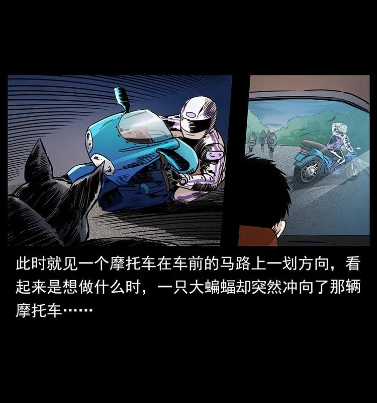幽冥诡匠 308 佟家的饭局 第12页